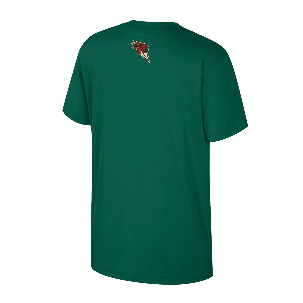 Tucson Roadrunners Youth Colosseum Winton T-Shirt- Green