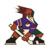 Shop.Tucsonroadrunners.com logo