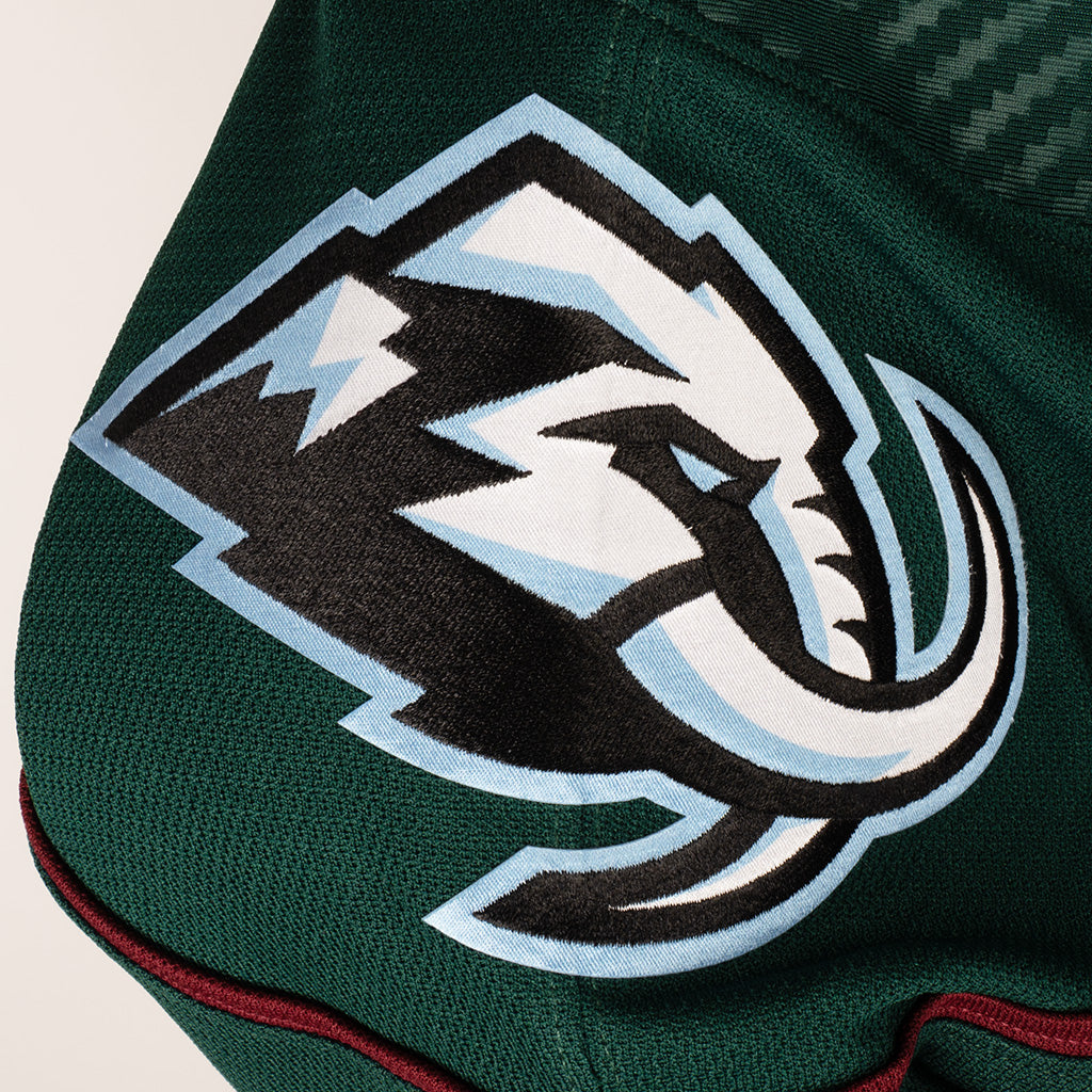 Tucson Roadrunners Youth CCM 2025 Home Jersey - Green