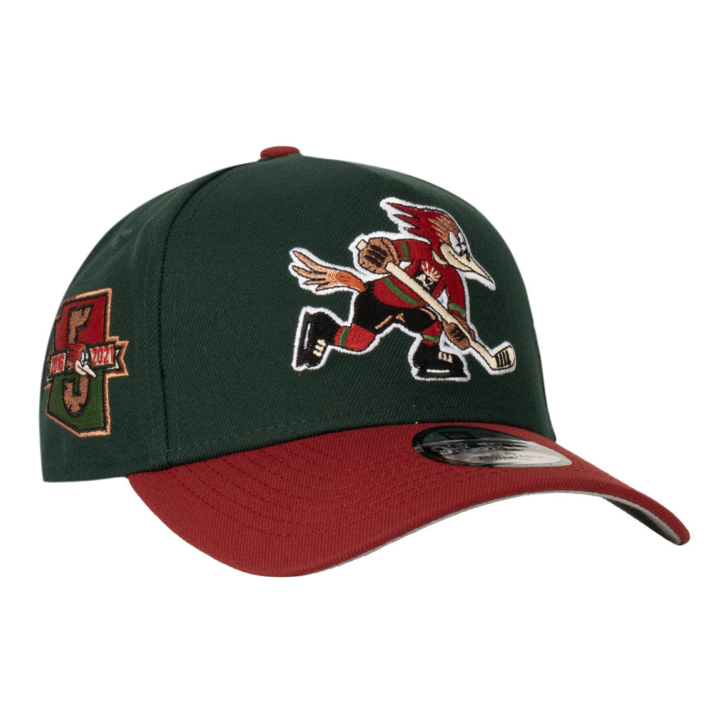 Tucson Roadrunners New Era Two-Tone 9FORTY A-Frame Snapback Hat - Green